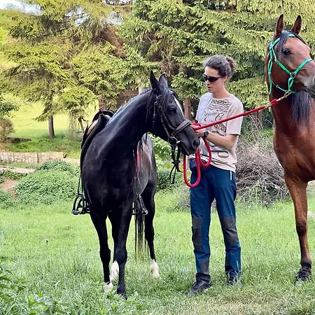 بيت للعطل ريزيدنس غرين *