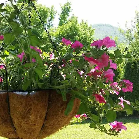 ريزيدنس غرين