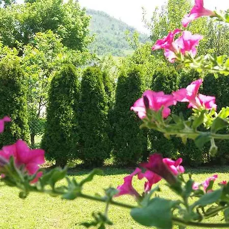 Green * Visoko